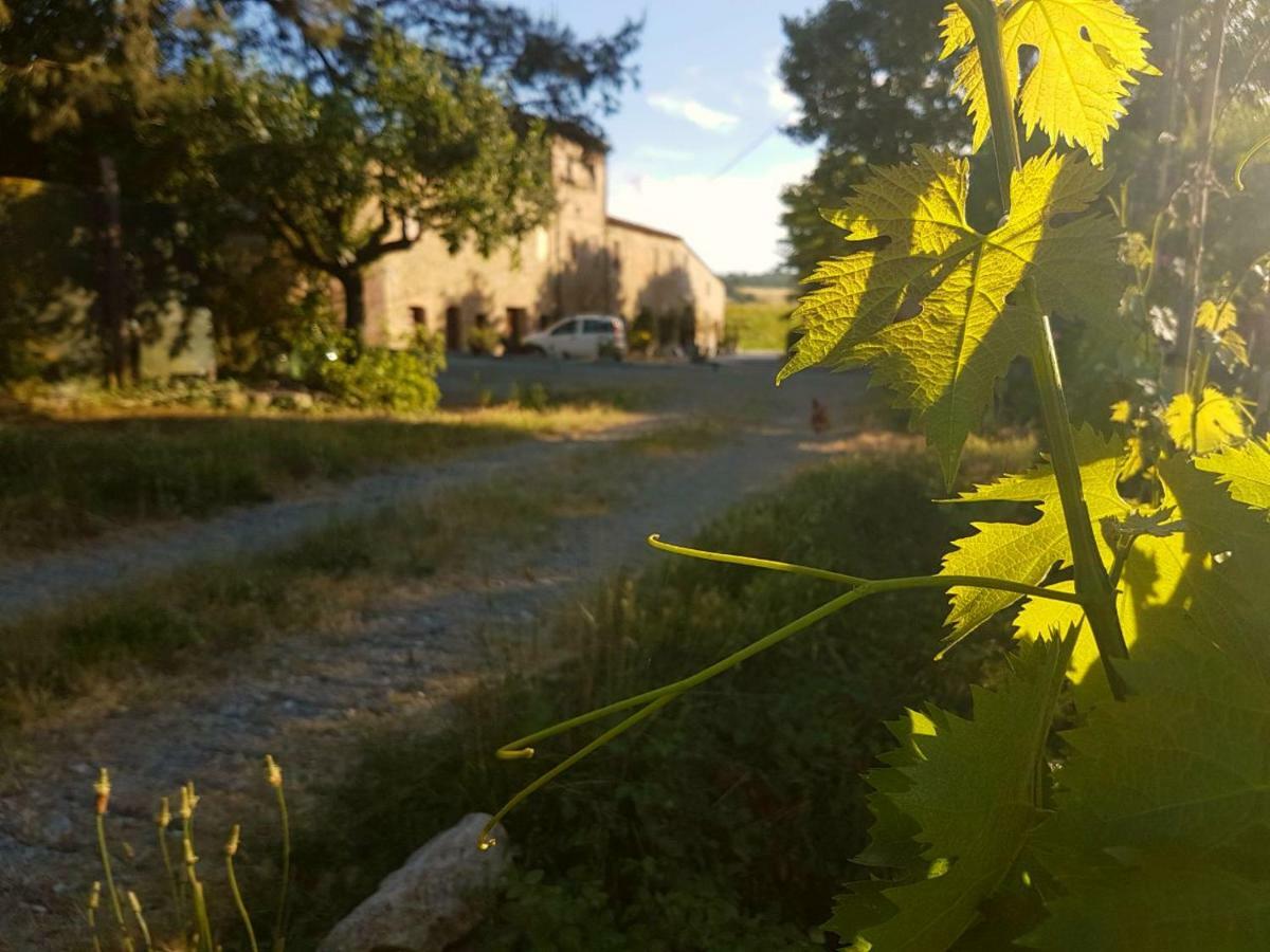 Agriturismo Podere Molino Peccioli Экстерьер фото