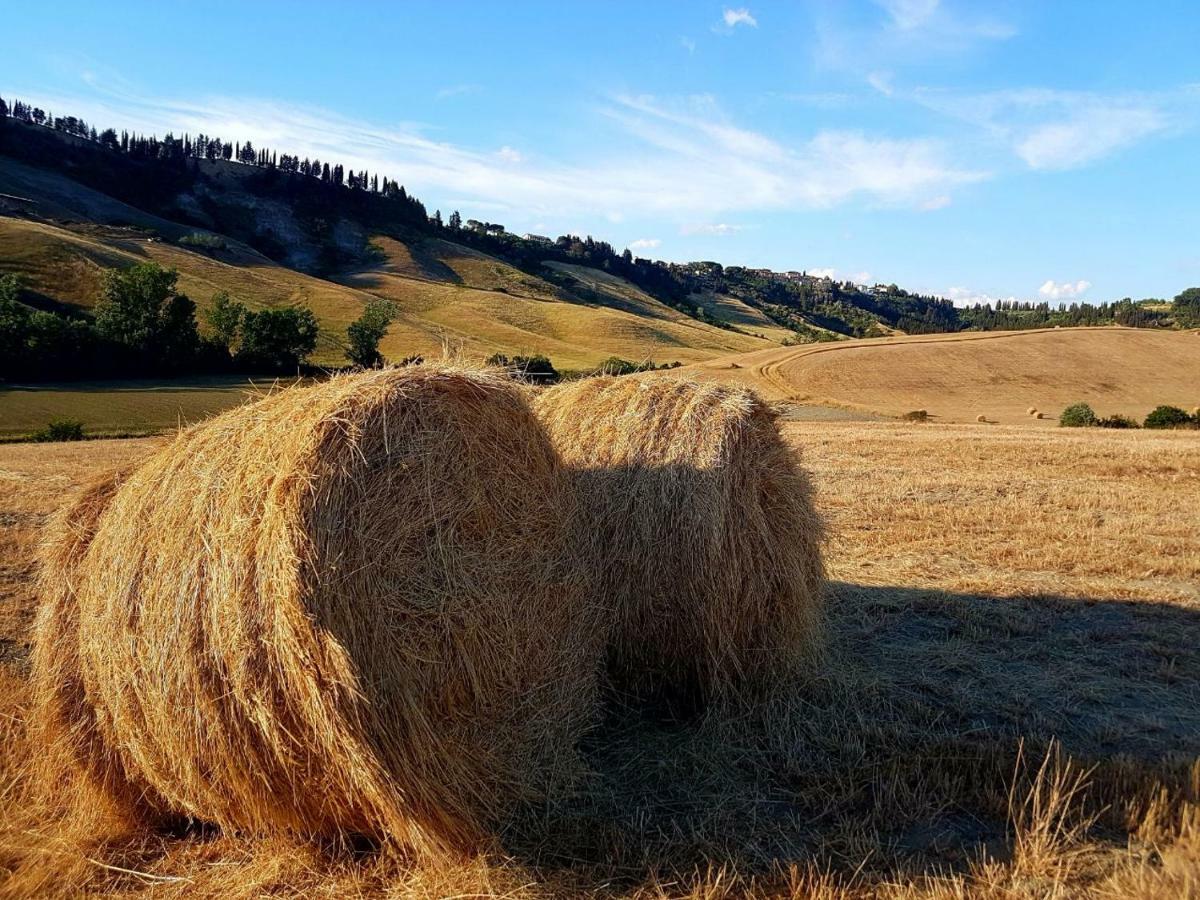 Agriturismo Podere Molino Peccioli Экстерьер фото