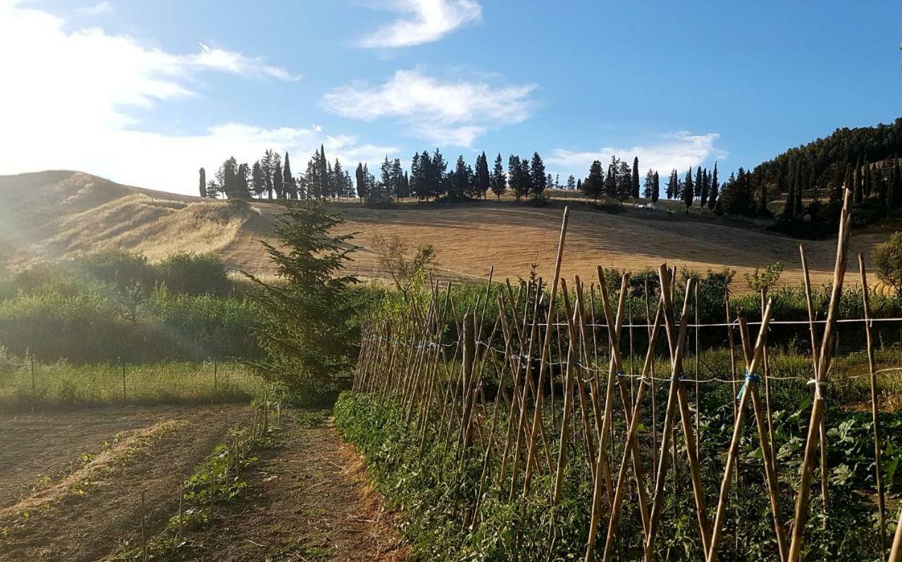 Agriturismo Podere Molino Peccioli Экстерьер фото