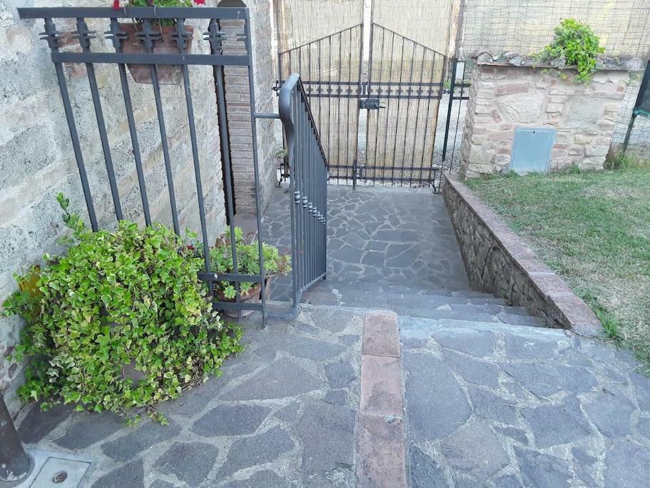 Agriturismo Podere Molino Peccioli Экстерьер фото