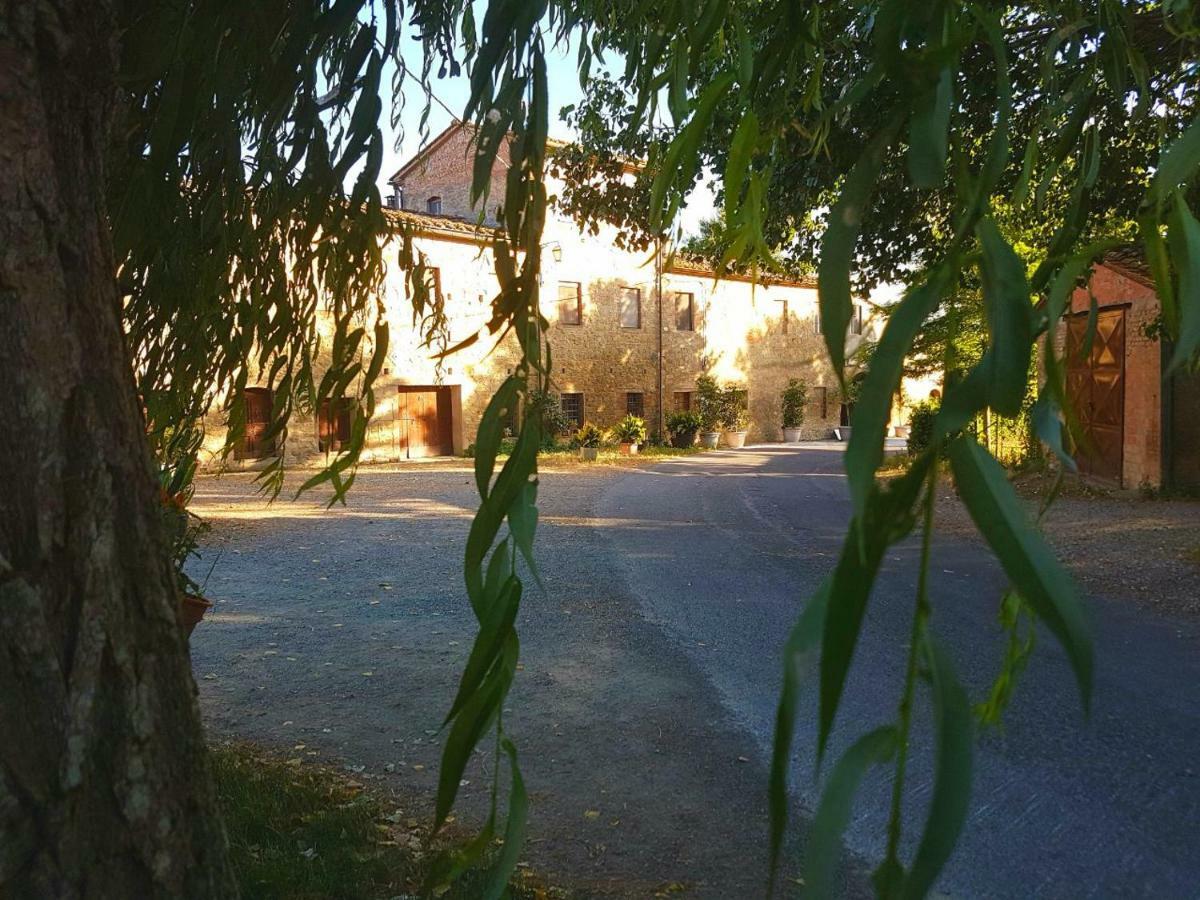 Agriturismo Podere Molino Peccioli Экстерьер фото