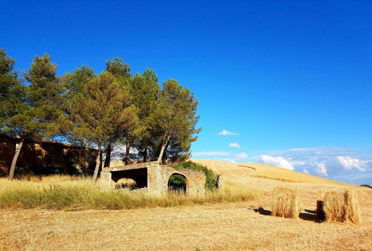 Agriturismo Podere Molino Peccioli Экстерьер фото