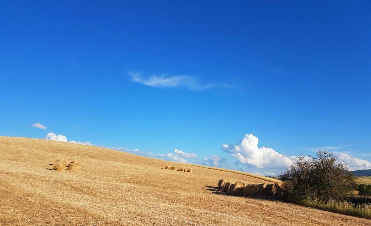 Agriturismo Podere Molino Peccioli Экстерьер фото