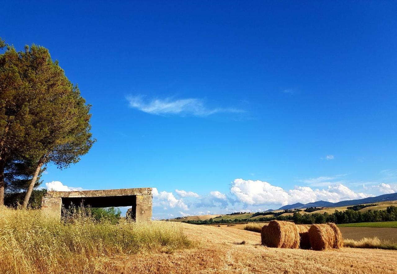 Agriturismo Podere Molino Peccioli Экстерьер фото