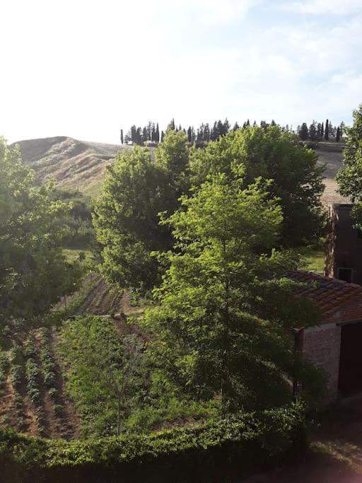 Agriturismo Podere Molino Peccioli Экстерьер фото