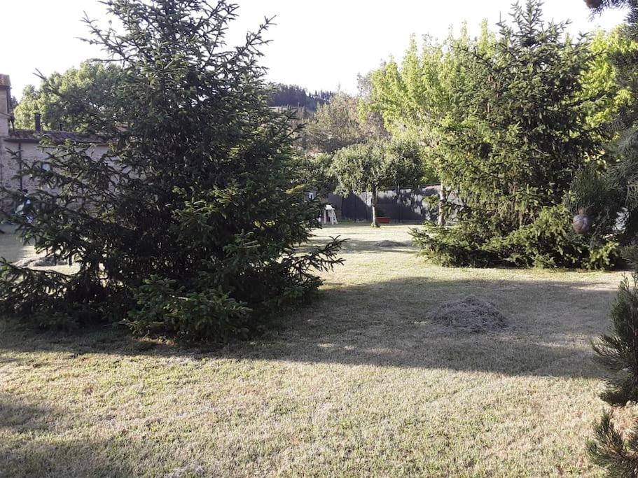 Agriturismo Podere Molino Peccioli Экстерьер фото